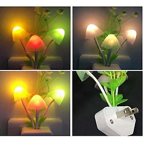Mua Đèn Ngủ Cây Nấm Cảm Biến Bật Tắt