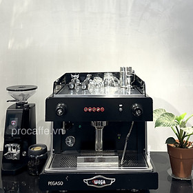 Mua Máy pha cà phê chuyên nghiệp WEGA PEGASO - Hàng chính hãng