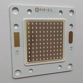 Mua BRIDGELUX CHIP LED COB 50W - XANH DƯƠNG