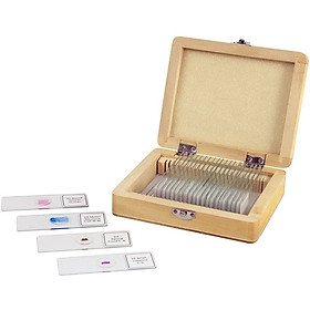 Mua Bộ tiêu bản tạo sẵn cho kính hiển vi gồm 25 slide có danh sách đánh số kèm theo