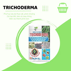 CHẾ PHẨM MEN VI SINH NẤM TRICHODERMA LOẠI 1KG