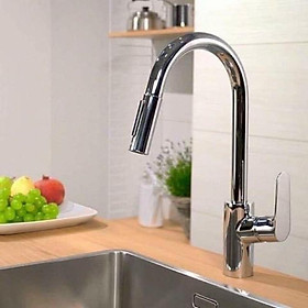 Mua Vòi rửa bát Hans Grohe Focus 240 ( có thể kéo dài)