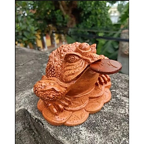 Mua Cóc thiềm thừ gỗ hương đá nam phi  kt 20 X 16 x 14 cm