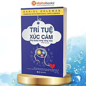 Sách Trí Tuệ Xúc Cảm Ứng Dụng Trong Công Việc (Tái Bản) - Daniel Goleman
