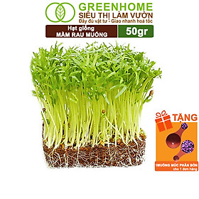 Mua Hạt Giống Mầm Rau Muống Greenhome  Gói 50g  Dễ Trồng Quanh Năm  Nảy Mầm Cao  Thu Hoạch Nhanh  Năng Suất Cao R14