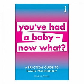 A Practical Guide To Family Psychology