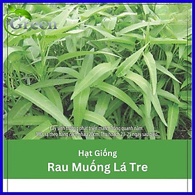 Hạt Giống Rau Muống Lá Tre Thái Lan Gói 40 Gam