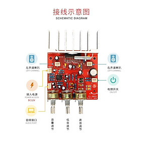 Mua Mạch khuếch đại công suất 2.0 công suất 35W x 2 - TFA 9844 nguồn 12V - 18V dùng độ loa kéo và loa vi tính