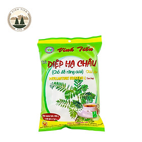 Trà túi lọc diệp hạ châu vĩnh tiến