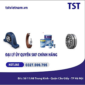 Vòng bi bạc đạn SKF 6218-2Z