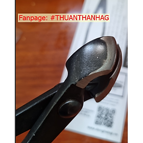 Mua Kìm cạp cây Miệng Xéo