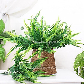 Mua Cụm Dương Xỉ Giả Trang Trí Hoặc Cắm Điểm Cao 30 Cm
