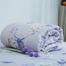 Mua Chăn hè Microfiber Xám In Hoa Everon Lite ELM202 200 x 220cm