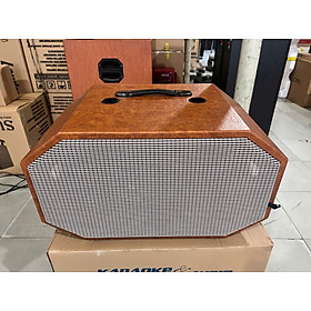Mua VỎ THÙNG BỌC DA BASS ĐÔI 25  2 LỖ CHÉP 8 CM CÓ SẴN HỌNG BẮT CHÉP KÈN VÀ 4 LỖ CHÉP 2 BÊN HÔNG 10 CM HẢI TRIỀU HÀNG CHÍNH HÃNG  (MÀU GIAO NGẪU NHIÊN)