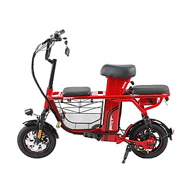 XE ĐẠP ĐIỆN 3 CHỖ NGỒI FMT TDW8802Z