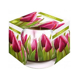 Ly nến thơm Bispol BIS4079 Flowers 100g (Hương hoa tulips)
