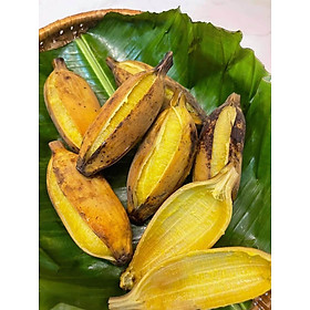 Mua Cây giống chuối sáp NGHỆ (siêu SỚM)