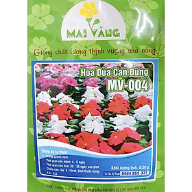 Mua Hạt Giống Hoa Dừa Cạn Đứng Nhiều Màu - 4 Mùa