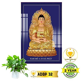 Mua Tranh Phật A Di Đà_ADDK8