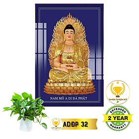 Mua Tranh Phật A Di Đà_ADDK8