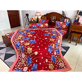 Drap thun hàn quốc