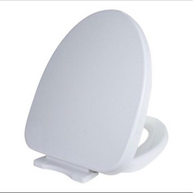 Mua Nắp Bàn Cầu Caesar CD13418 Nắp Bàn Cầu Ráp Chuẩn  Bàn Cầu Caesar CD1348