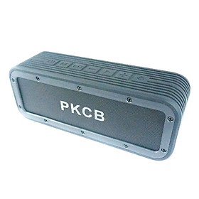 Loa Bluetooth PKCB8PR0
