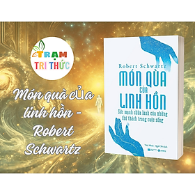 Món quà của linh hồn - Sức mạnh chữa lành của những thử thách trong cuộc sống - Robert Schwartz - NXB Hà Nội