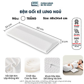 Đệm Gối Kê Lưng Ngủ OFFICE CHILL Đệm Kê Thắt Lưng Cao Su Non Hỗ Trợ Đau Lưng Thoát Vị Đĩa Đệm Bảo Hành 1 Năm - Trắng - Cao 5cm