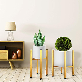 Chân Giá Kệ Đỡ Đôn Chậu Hoa Cây Cảnh Bằng Sắt màu vàng, Sơn tĩnh điện cao cấp chống rỉ. Đa năng + điều Chỉnh Mở Rộng từ 24-35 cm