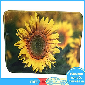 Mua Bộ 02 Chiếc Thảm Lau Chân 3D Siêu Thấm Mới - Vận Chuyển Miễn Phí Toàn Quốc