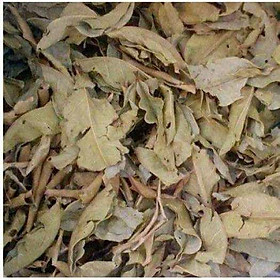 500gr lá vối nếp khô sạch, hàng nhà làm