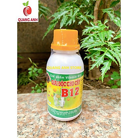 Vitamin B12 giải độc cho cây chai 100ml