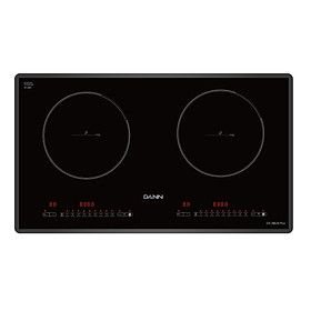 Bếp từ Dann DS-IB828 Plus