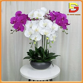 Mua Hoa Giả Chậu Lan Hồ Điệp 5 Nhánh Decor Trang Trí Phòng Khách Bàn Ăn Kệ Tủ DG-226