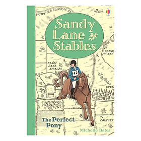 Usborne Sandy Lane Stables The Perfect Pony