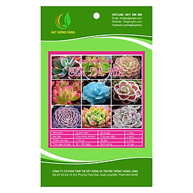 Hạt giống hoa Sen đá Mix Golden Seeds 10 Hạt