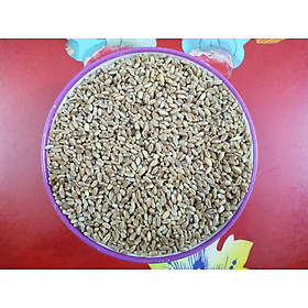 500g hạt cỏ lúa mì (cỏ mèo) làm mầm nuôi mèo, vẹt