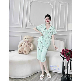 đồ bộ pizama - Mẫu 5 - M (47-54kg)