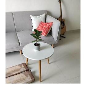 Bàn 2 tầng + Bàn tròn làm bàn sofa phòng khách, bàn cafe phong cách hiện đại