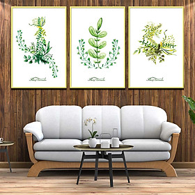 Bộ 3 tranh canvas treo tường Decor Hoa lá phong cách scandinavian - DC075