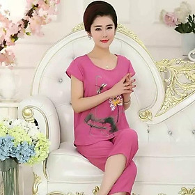 Bộ đồ nữ mặc ở nhà cho các bác các cô trung niên TN11