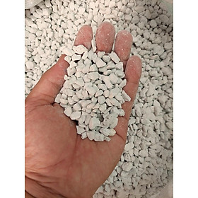 Mua Đá pumice 100g thổ nhĩ kỳ size 3-6mm phối trộn đất trồng sen đá và các giá thể khác