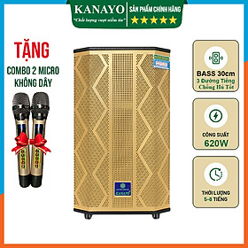 Mua Loa Kéo Karaoke Kanayo K-650 Công Suất Lớn 650W 3 Đường Tiếng | Hàng chính hãng sản suất tại Việt Nam