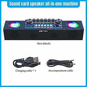 Loa Card âm thanh ngoài trời Máy tích hợp Karaoke gia đình Bluetooth Boombox không dây để phát sóng trực tiếp/Tiệc/PC/Điện thoại di động Màu sắc: Tiêu chuẩn (Đen)