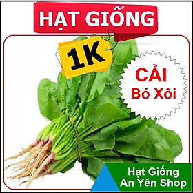 Hạt Giống 1K trồng thử cho các loại Rau Củ Quả.