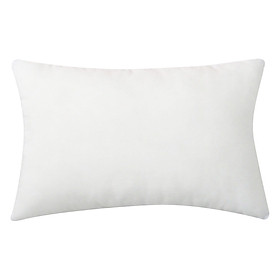Mua Ruột Gối Nằm Ép Hơi Polyester