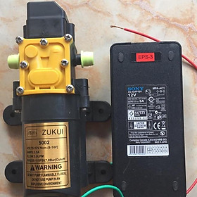 Mua Bơm tăng áp mini 12V ZUKUI Kèm chuyển nguồn Adapter 12V5A bơm phun sương tưới lan mini tiện lợi phun tối đa 15 béc đồng