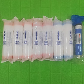 Combo 1 bộ lõi lọc nước RO 1234 cao cấp thay cho 1 năm có màng RO - Chính Hãng