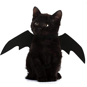 Đôi cánh dơi thú cưng, đôi cánh mới Halloween mèo màu đen, mèo mặc đồ dơi đen.